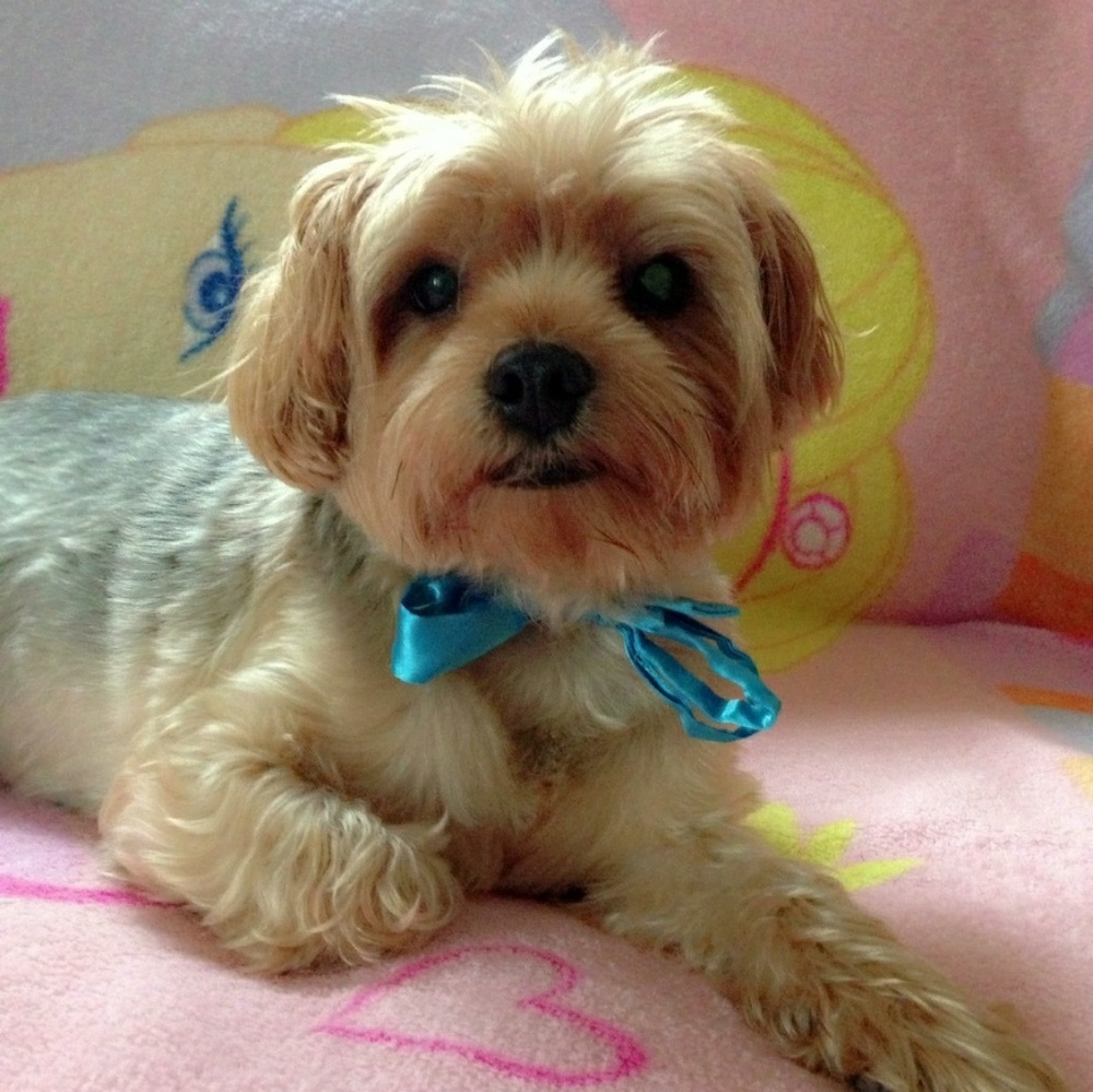 Meet your Posher, Christina